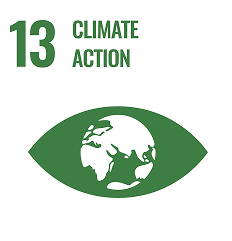 Sustainable Development Goal n°13: climate action.