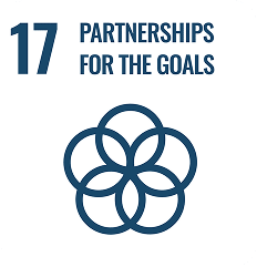 Sustainable Development Goal n°17: partnership for the goals.