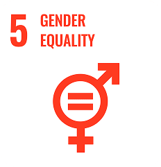 Sustainable Development Goal n°5: gender equality.