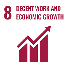 Sustainable Development Goal n°8: decent work and economic growth.